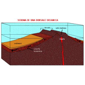 Schema di una dorsale oceanica