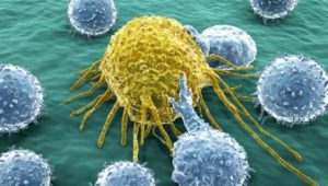 immunoterapia_oncologica
