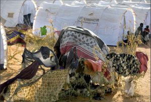 Kenya-camp