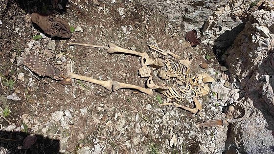 alpino resti corpo ossa moena milite ignoto