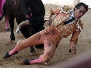 torero corrida Ivan Fandino impiegato grillina