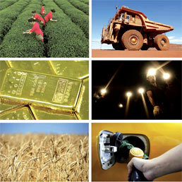 materie prime commodities