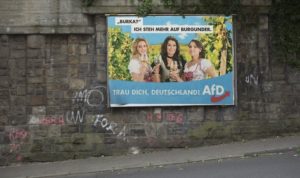 afd manifesto propaganda