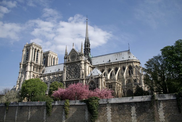 Risultati immagini per foto dell'incendio della cattedrale di notre dame