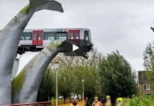 Olanda, il treno deraglia ma viene salvato da una “balena” (Video) balena, olanda