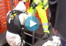 Milano, un’incredibile rapina in banca: banditi “spariti” sottoterra. La polizia ispeziona le fogne (Video) Milano, banca