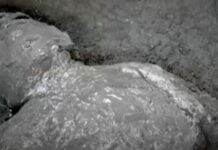 Pompei, sensazionale scoperta: emersi i corpi intatti di due fuggiaschi (Video) Pompei