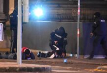 Attacco terroristico a Vienna, quattro morti e 17 feriti (Video) vienna