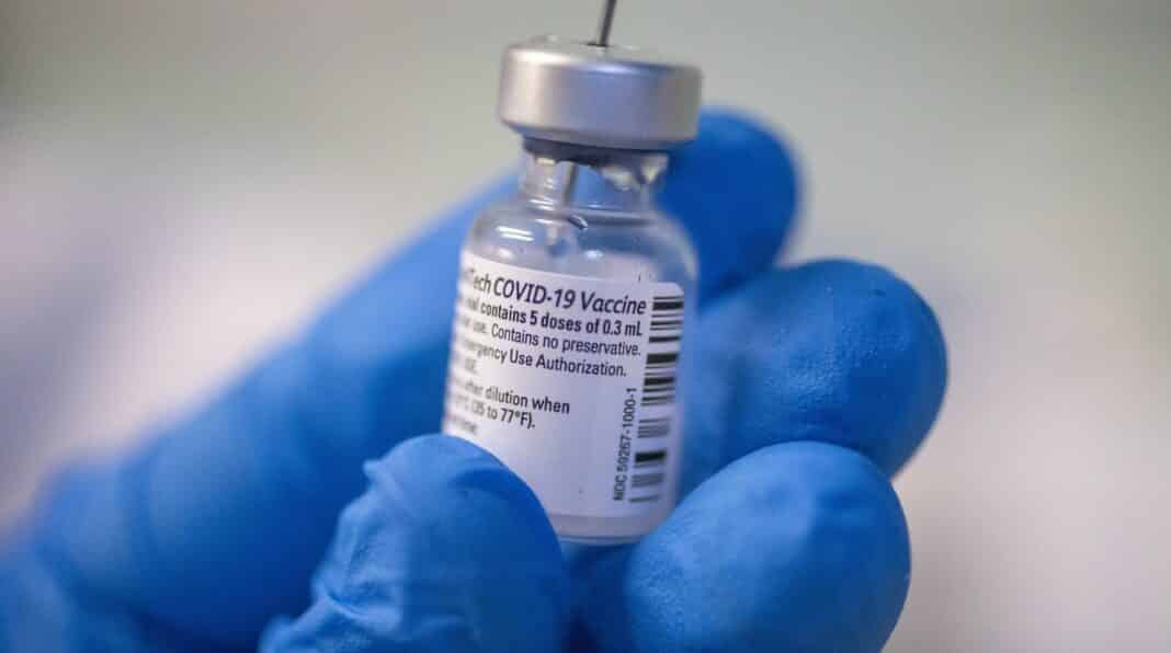 v-day spallanzani vaccino