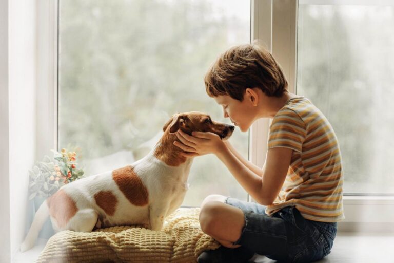 Il Cane è Il Miglior Amico Dell Uomo