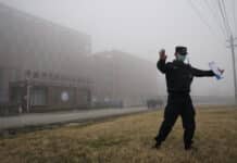 Stati Uniti Wuhan, coronavirus