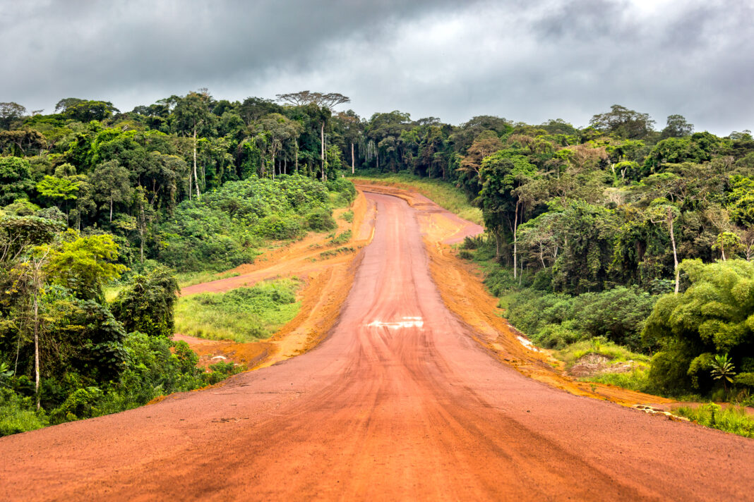 Gabon, patrimonio boschivo