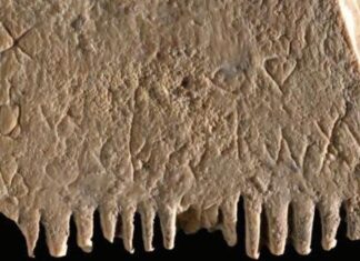 Le radici più antiche del nostro alfabeto sono su un pettine