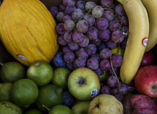 Italia Cina frutta