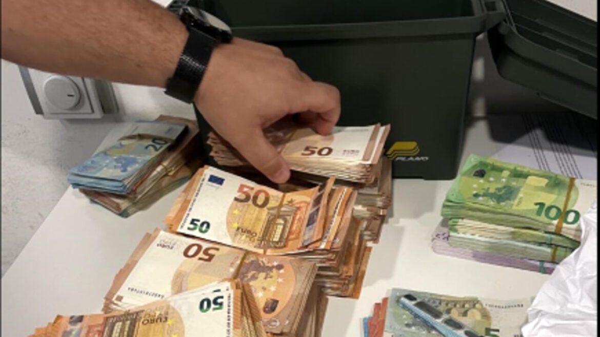 reddito di cittadinanza