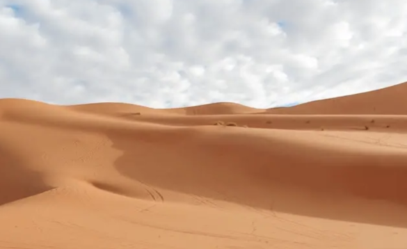 desertificazione