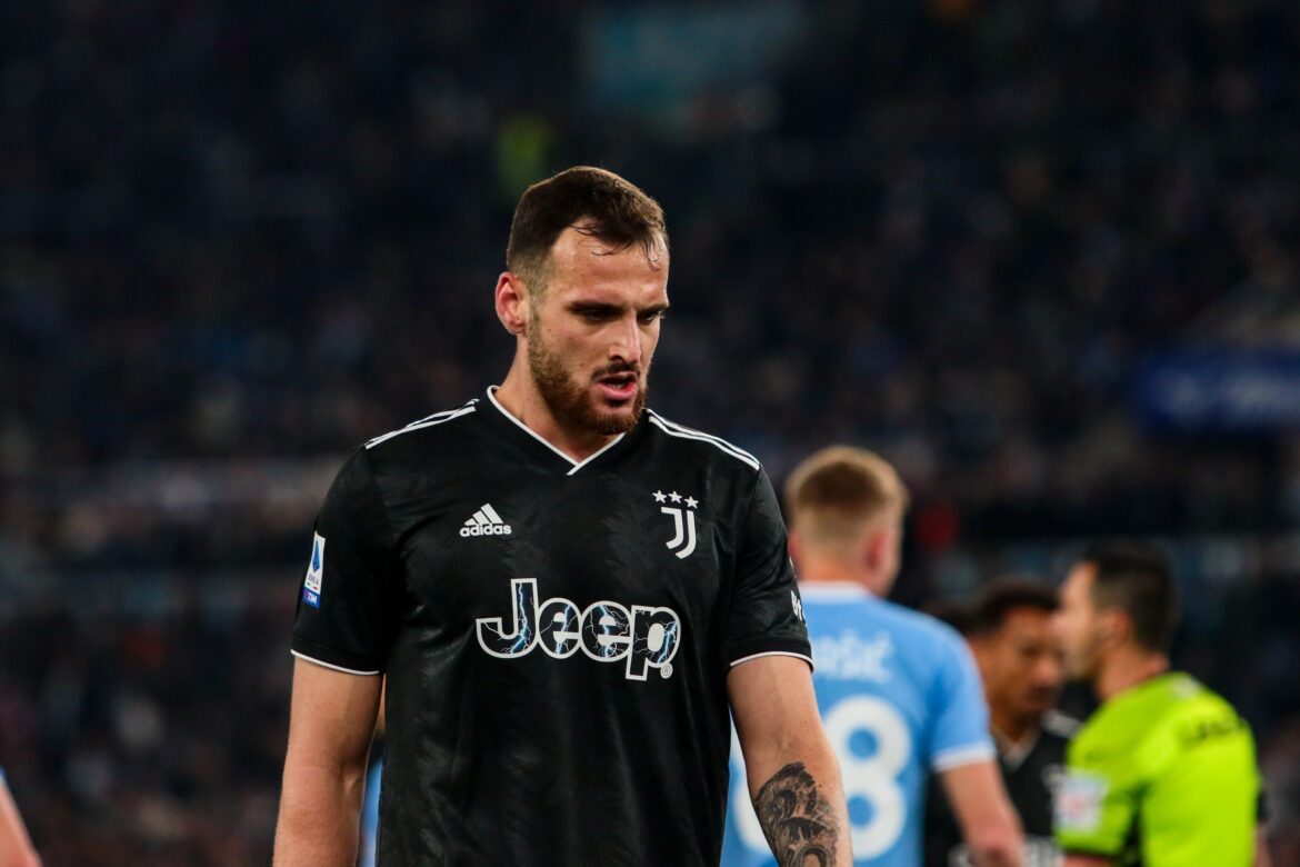 Gatti classe operaia