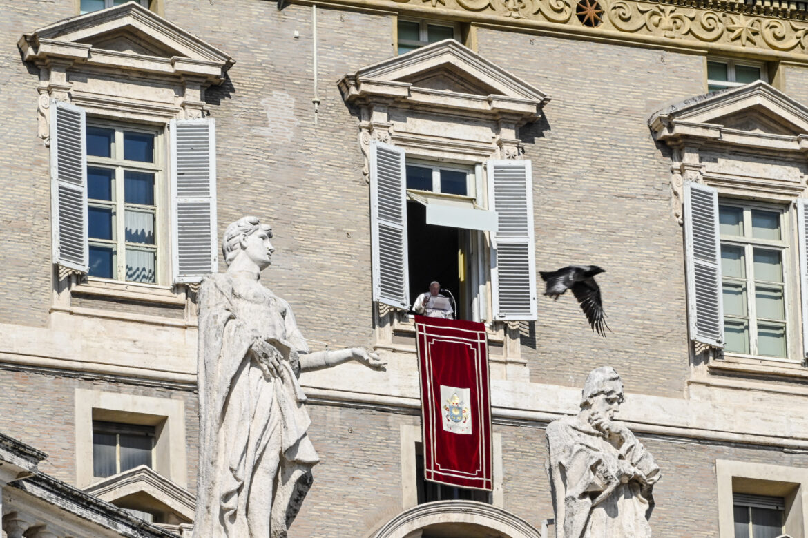 Francesco maternità surrogata