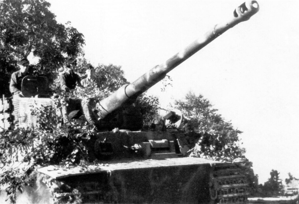 Tiger Waffen-SS