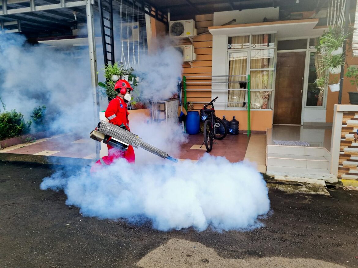 smoke used for pest control