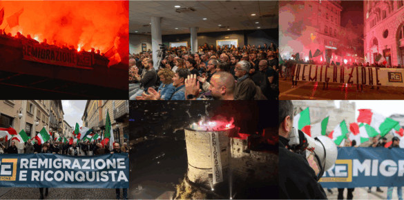 Remigrazione