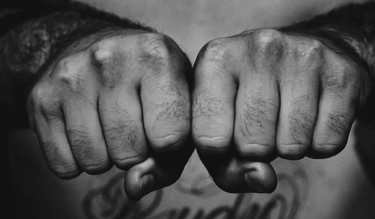 “Come cavalli da guerra”: combattere per capire il mondo