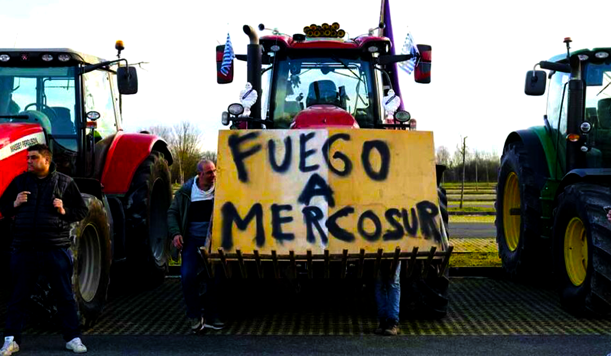 Mercosur e agricoltura europea: il nodo strategico tra libero scambio e sovranità produttiva