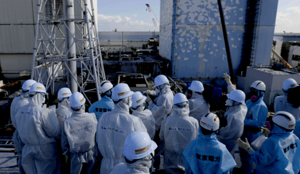 nucleare Italia Giappone