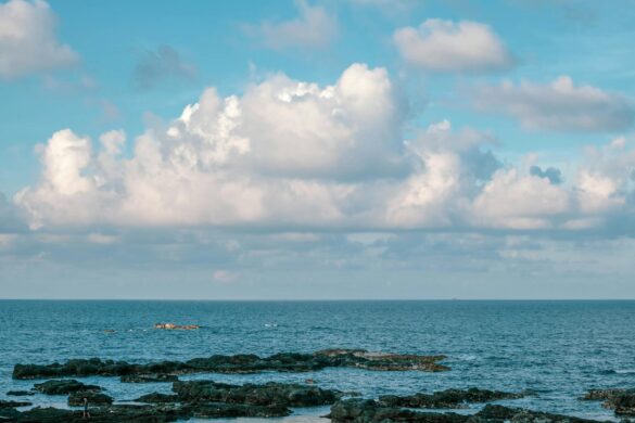 serene coastal view in binh thu n vietnam