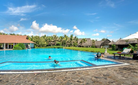 swimming pool in summer